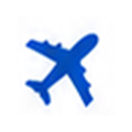 航空便輸入